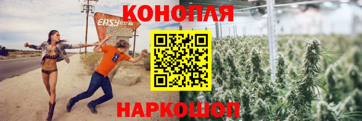 Шишки марихуана сатива Добрянка